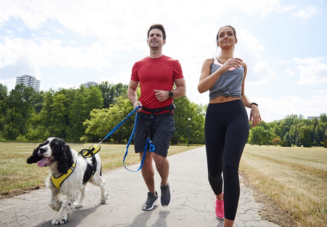 wie-man-richtig-mit-dem-hund-joggen-oder-laufen-geht