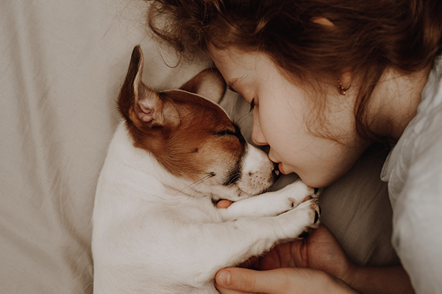 Einfluss der Bindungstheorie auf die Bindung zwischen Mensch und Hund